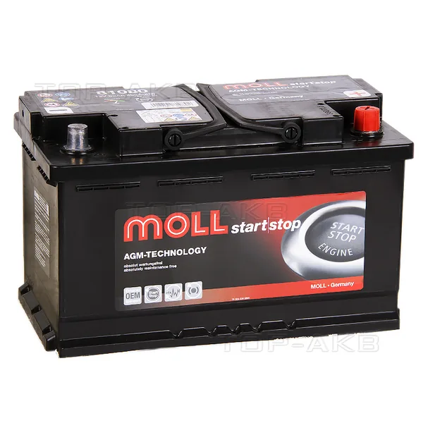 Аккумулятор MOLL AGM 80Ah euro EN800