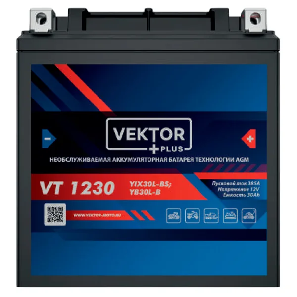 Аккумулятор VEKTOR PLUS VT 1230 12V30Ah AGM