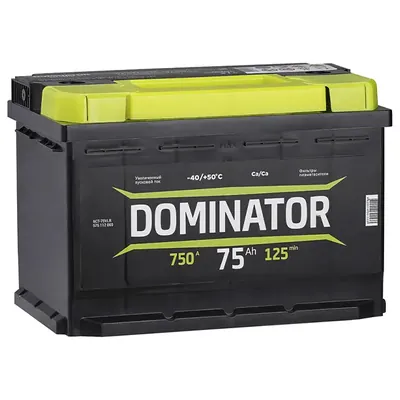 Аккумулятор DOMINATOR 75 Ач 750 А (EN), обратная полярность, LN3