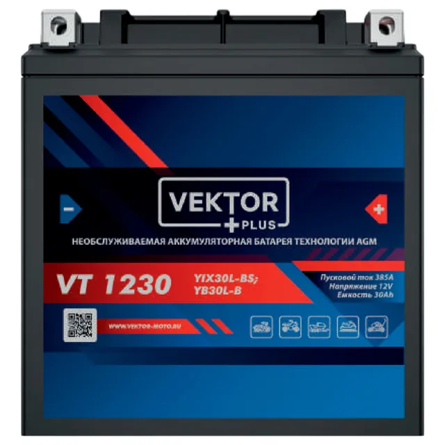 Аккумулятор VEKTOR PLUS 30 Ач 385 А, обратная полярность, YB30L-B
